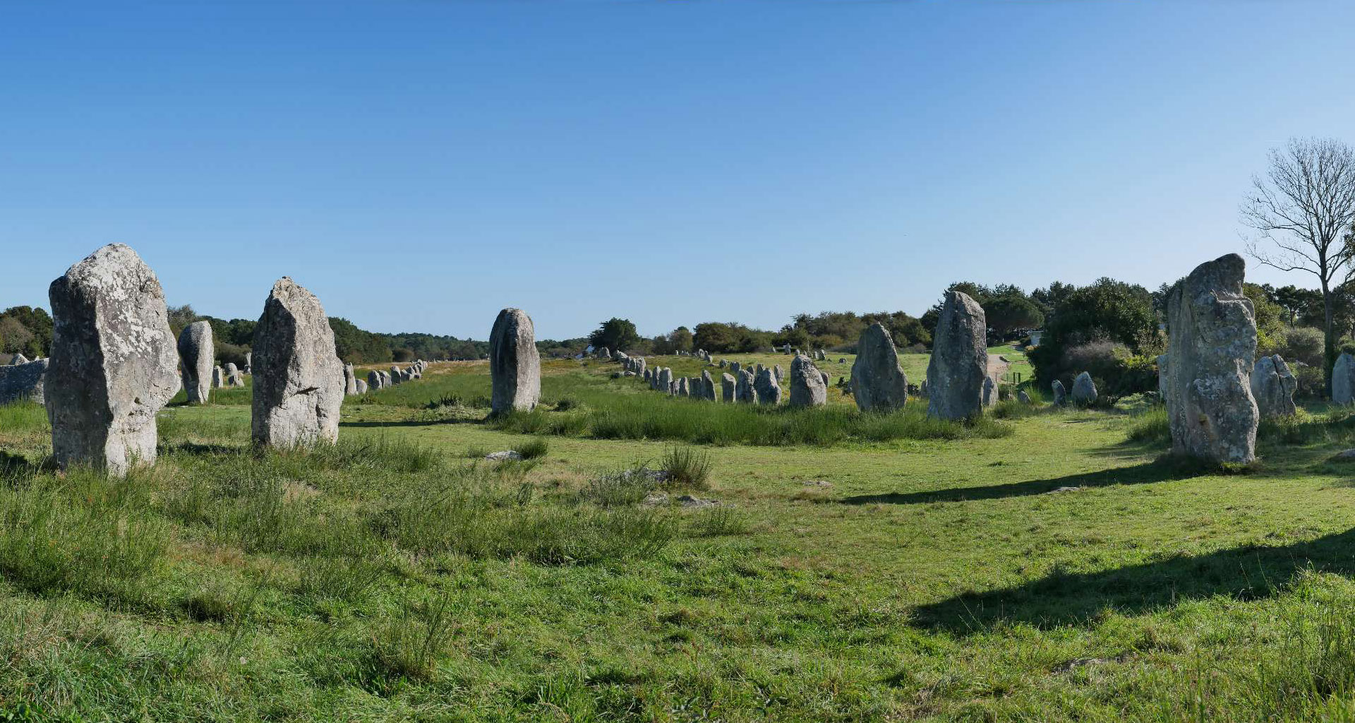 view of the rows on standing stones from the western extremity at the cromlech of Menec