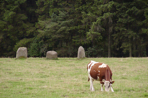 Fortingall S  Stone Circle, Perth and Kinross
