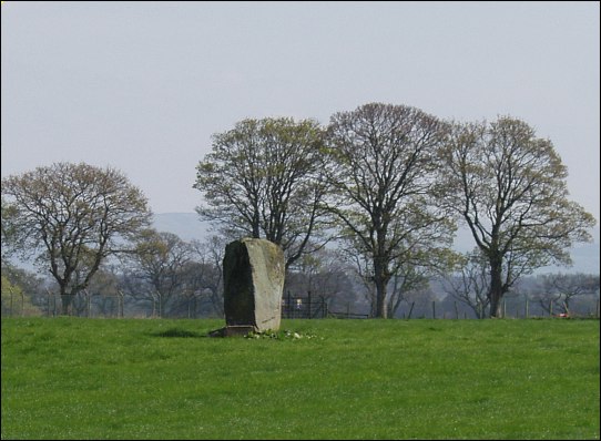 Dargill Standing Stone, Perthshire