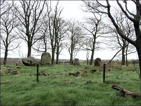 Dartfield Stone Circle, Aberdeenshire