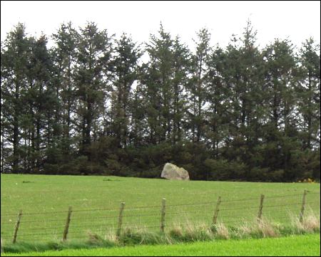 Drach Law Standing Stone, Aberdeenshire