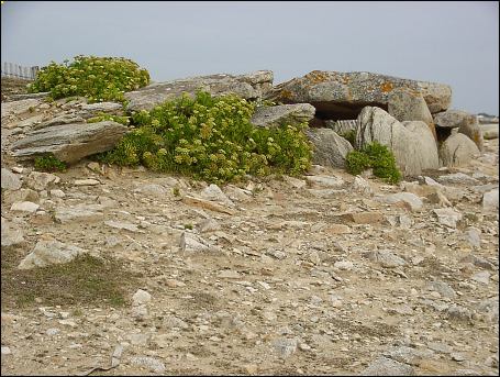 Pors-Guen Passage Grave, Brittany