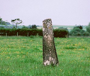 Ballygrennan Standing Stone, Limerick