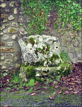 Toller Porcorum Standing Stone, Dorset