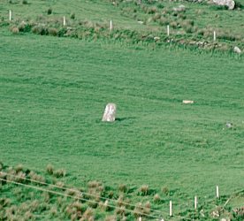 Cools Standing Stone, Kerry