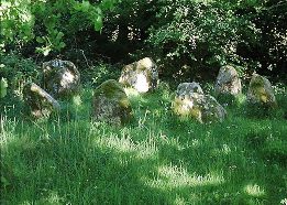Lissyviggeen  Stone Circle, Kerry