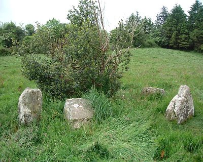 Inchireagh Stone Circle, Cork