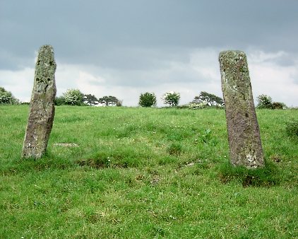 Kilmartin Lower Standing Stone, Cork