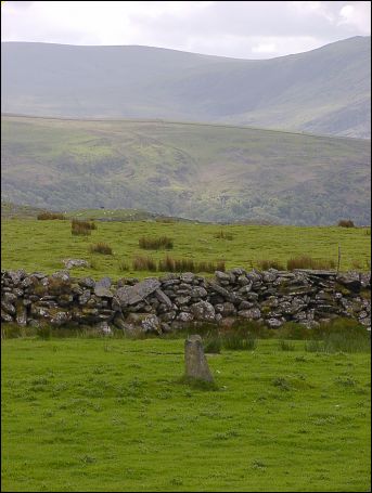 Fonllech Hir Standing Stone, Gwynedd