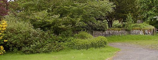 Ysbyty Cynfyn Standing Stone, Ceredigion